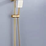 دش صيني مع خلاط